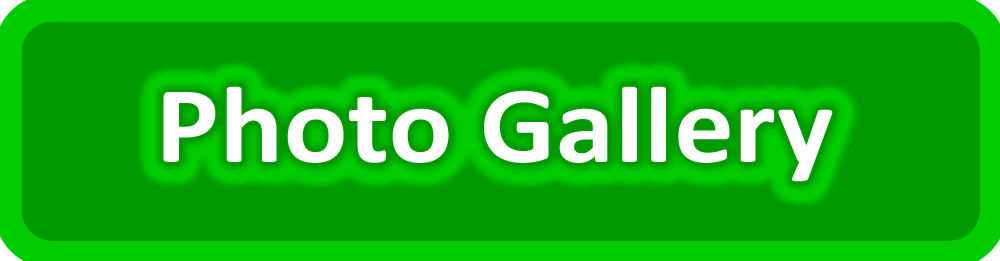 Blog & Facbook